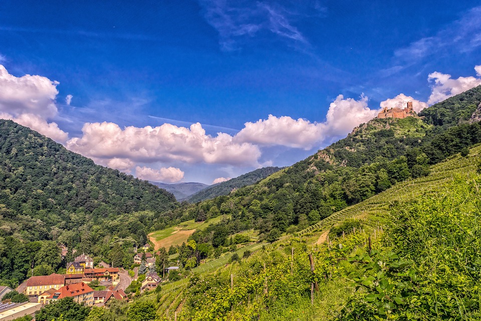 Alsace Wine Region France