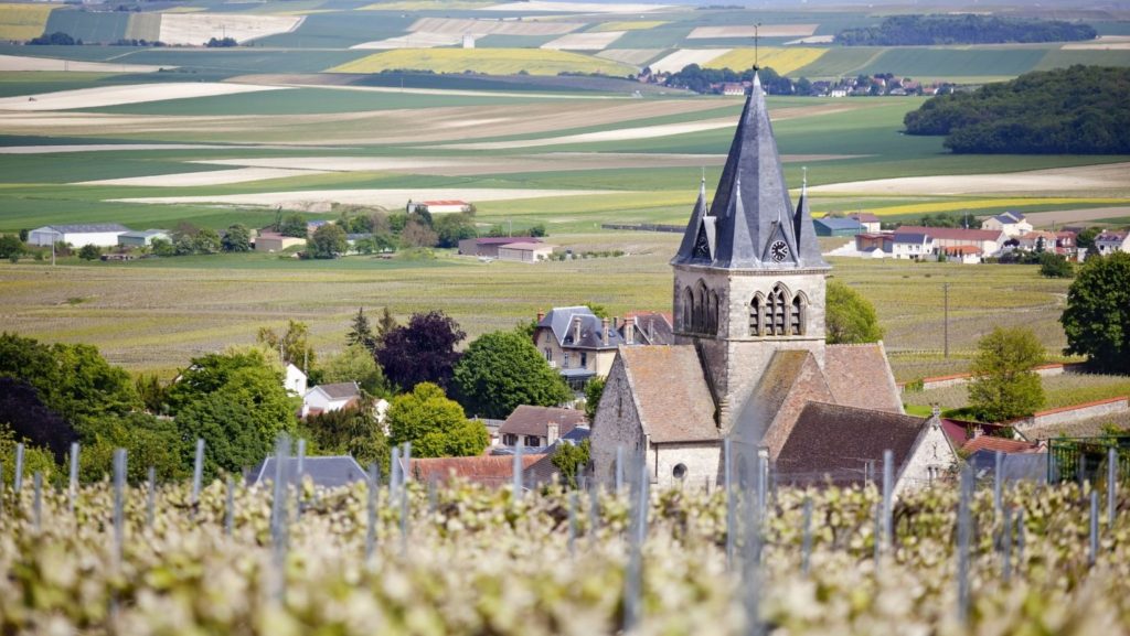 Champagne region of France