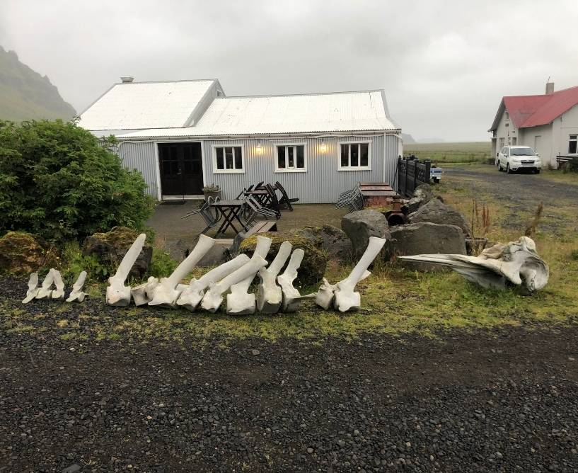 Iceland ring road restaurant Gamla fjósið Old Cow House