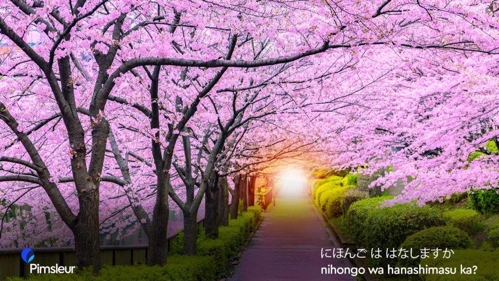 Virtual Zoom Backgrounds Japan