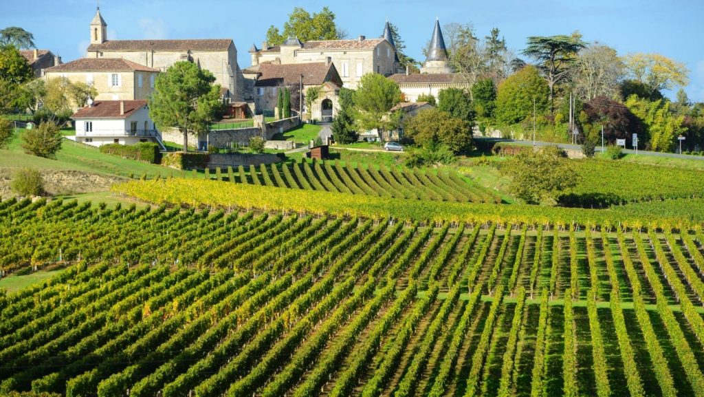 Visit a French Château or Vineyard wine tour
festivals