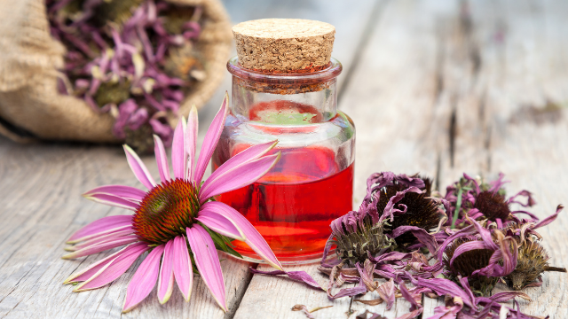 Traditional Brazilian medicines