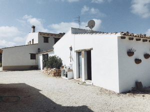 Affordable Gap Year Programs - WWOOF Spain