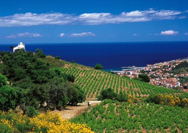 Languedoc Roussillon Wine Region France