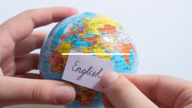 history and use of the term literally
